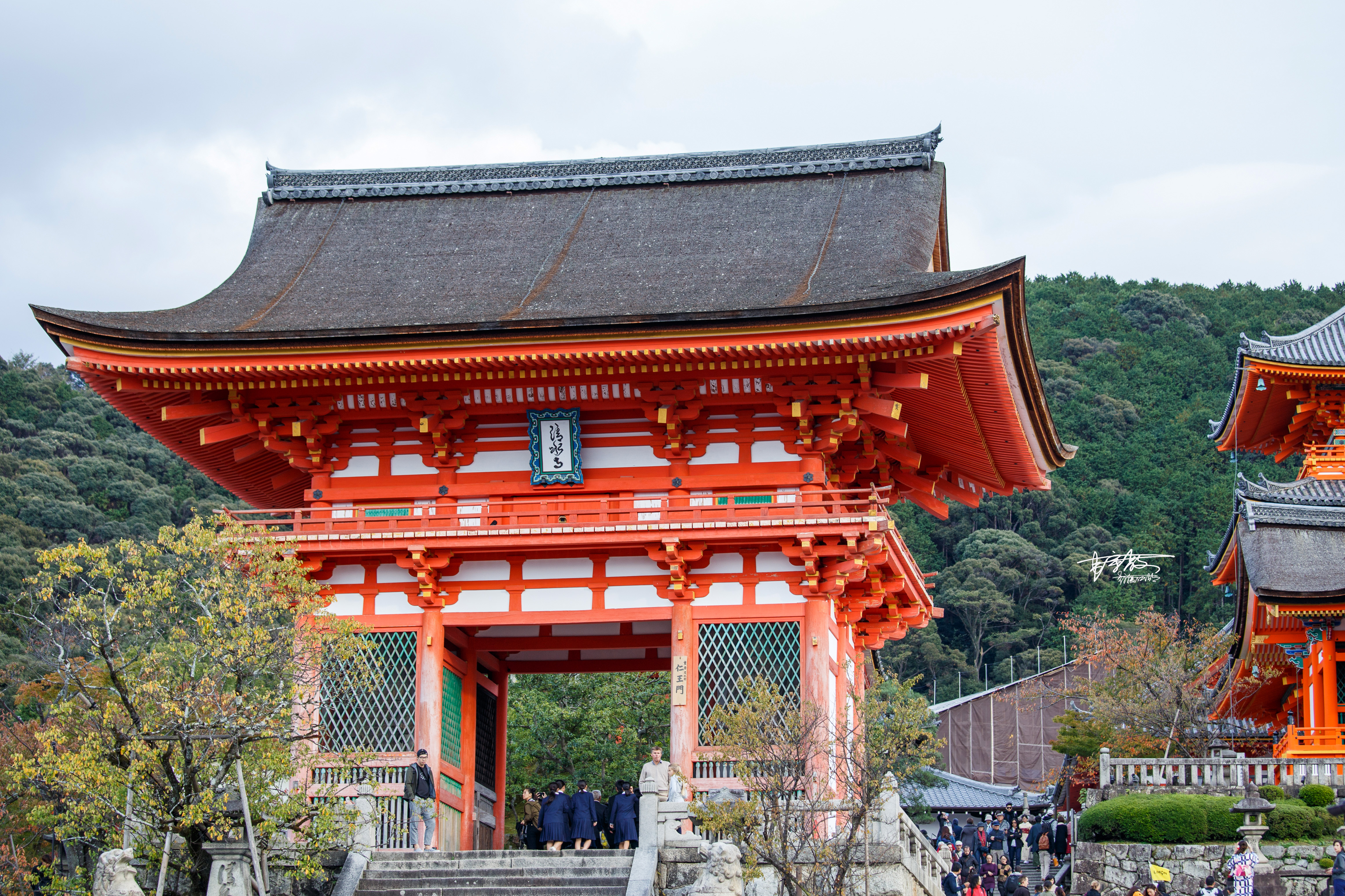 拜观音、祈姻缘、求学业，京都这三神圣之地有求必应