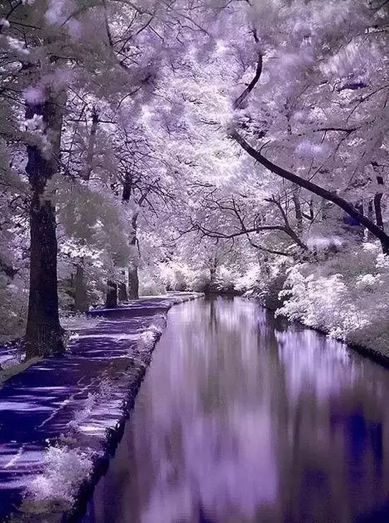世界极致美景，一睹为快！