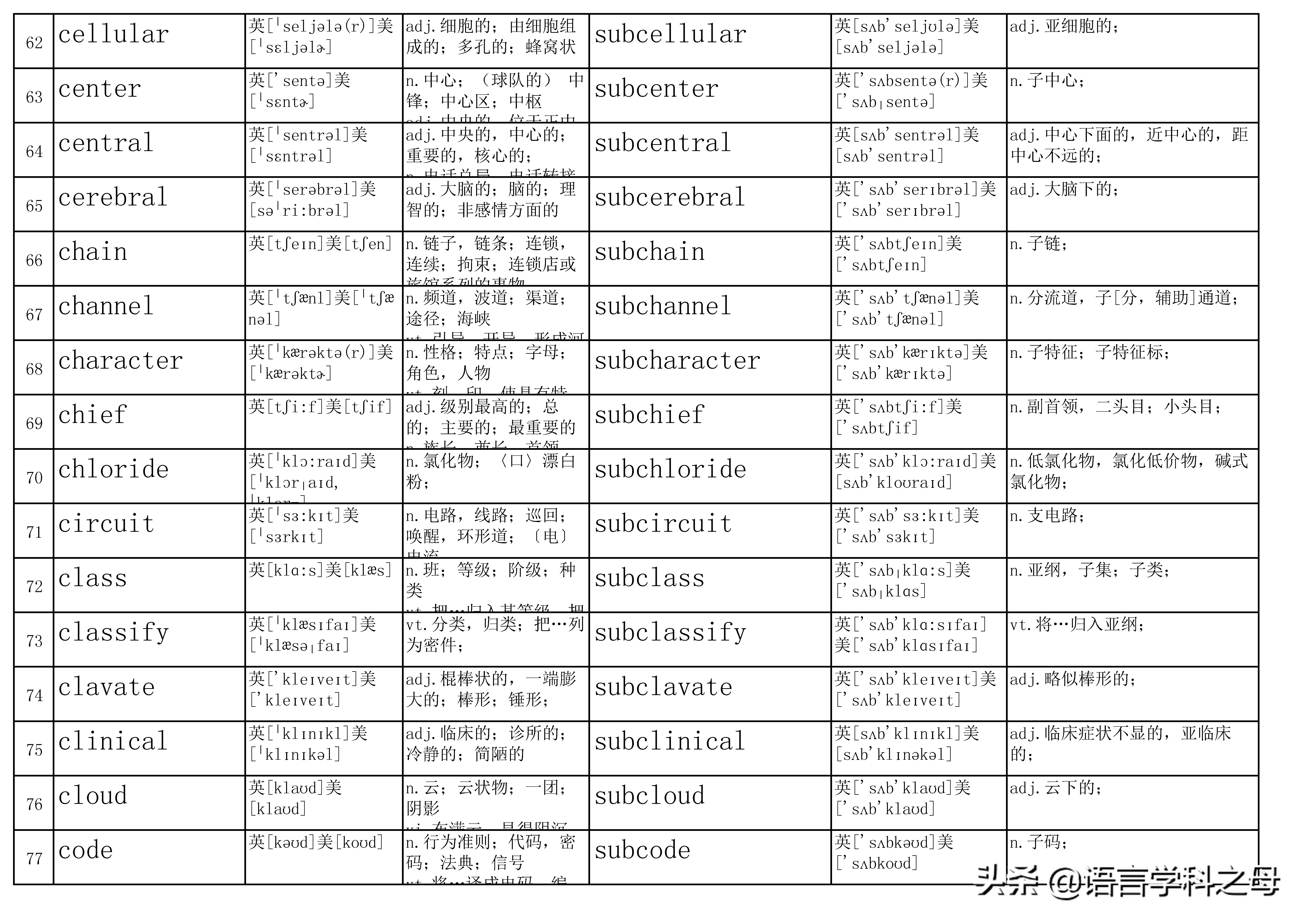 subleties图片