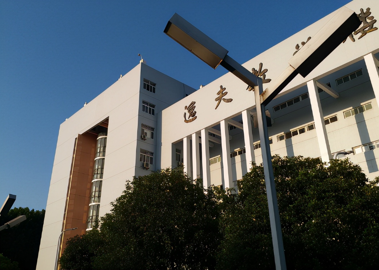 湖北有所大学好拼，为了能晋升第一梯队，一共有11名教授加入