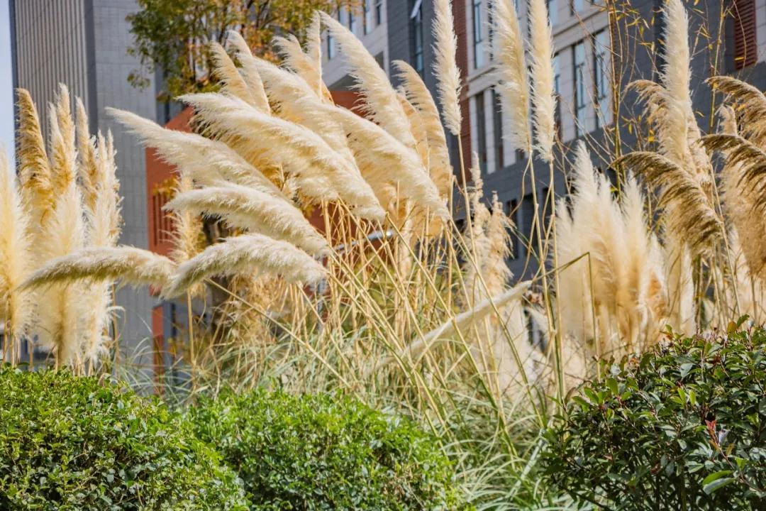 昆明最值得打卡的100个地方！你去过几个？