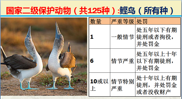 二级保护动物（国家最新125类二级野生保护名录）