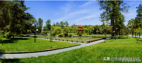 2020年师范类大学“火”了！“猛涨”了？考生：我该怎么办？