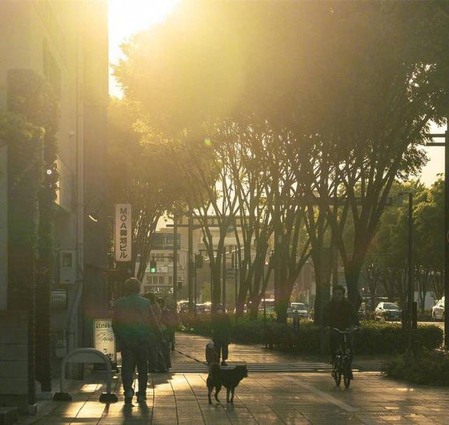 写给自己的哲理句子，现实露骨，今天被这段话刷屏了
