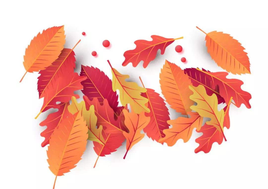 青岛大学琴岛学院（青岛理工大学琴岛学院）