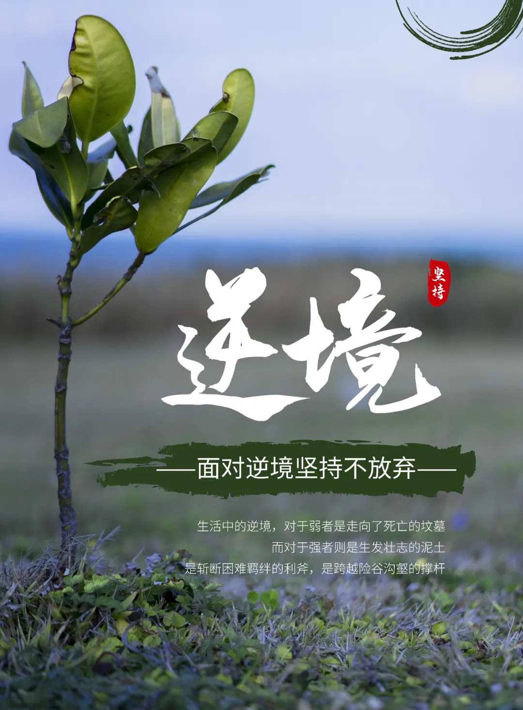 正能量早安语句周五图片日签：让春风化雨成诗，让光芒迎风展翅