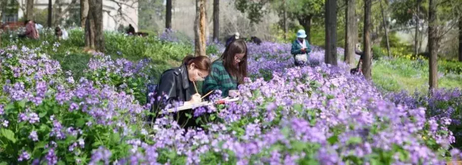 @高考生，浙江师范大学使用说明书来了，请查收