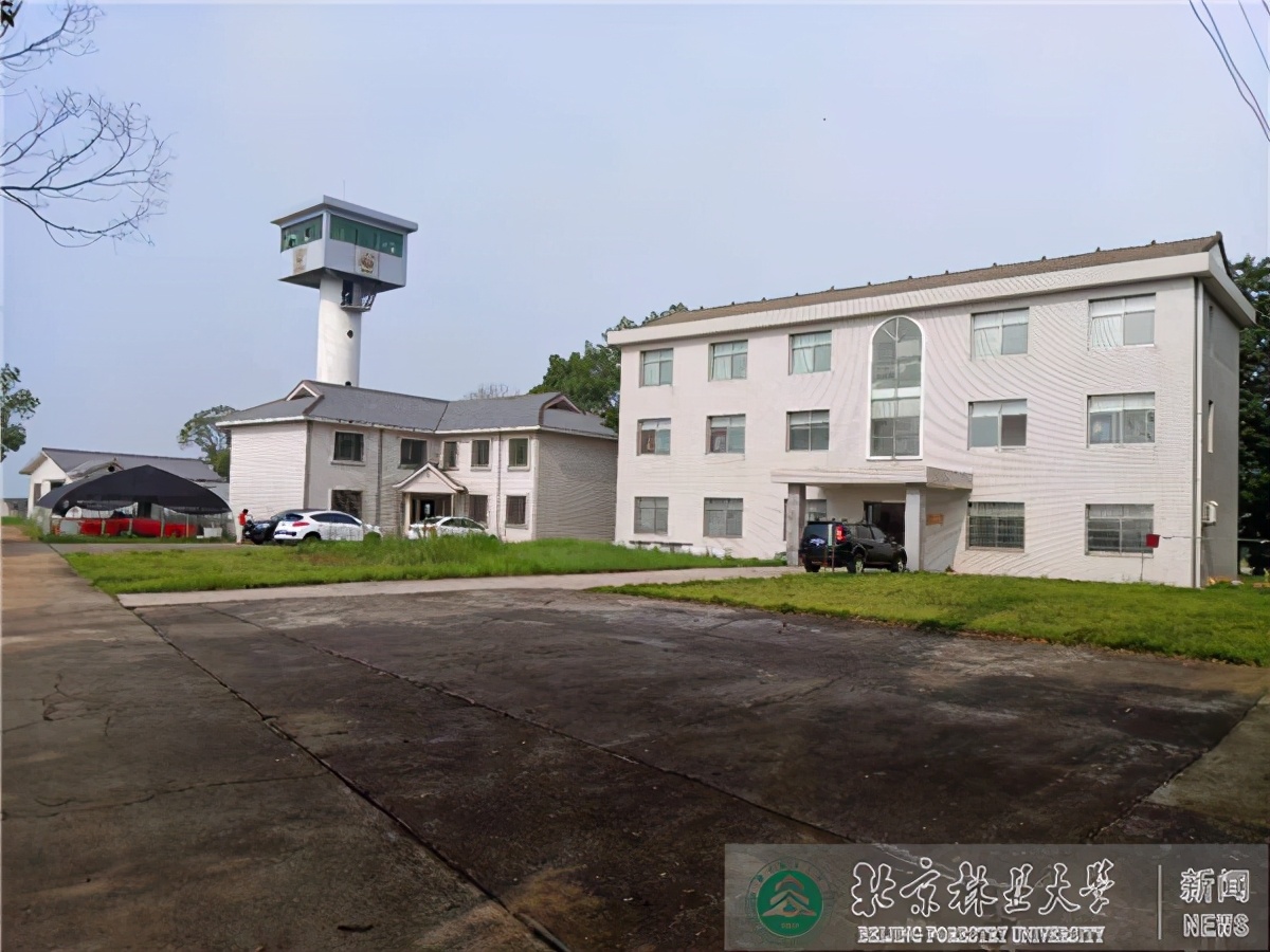 中央部门采纳！北京林业大学新增一座国家级科技创新基地！