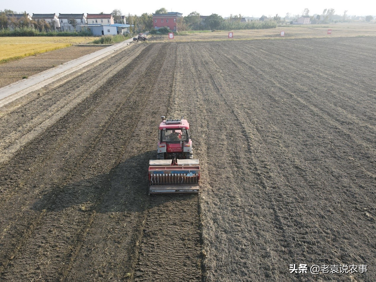 江蘇省泰州市姜堰區水稻收得快小麥種得好