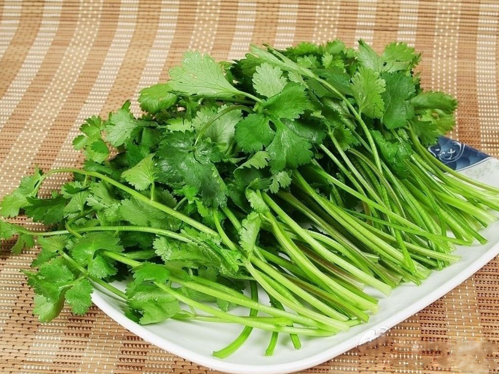 圖片[5]-【蒸茄絲】做法步驟圖 簡(jiǎn)單易做又解饞過(guò)癮 做一大-起舞食譜網(wǎng)