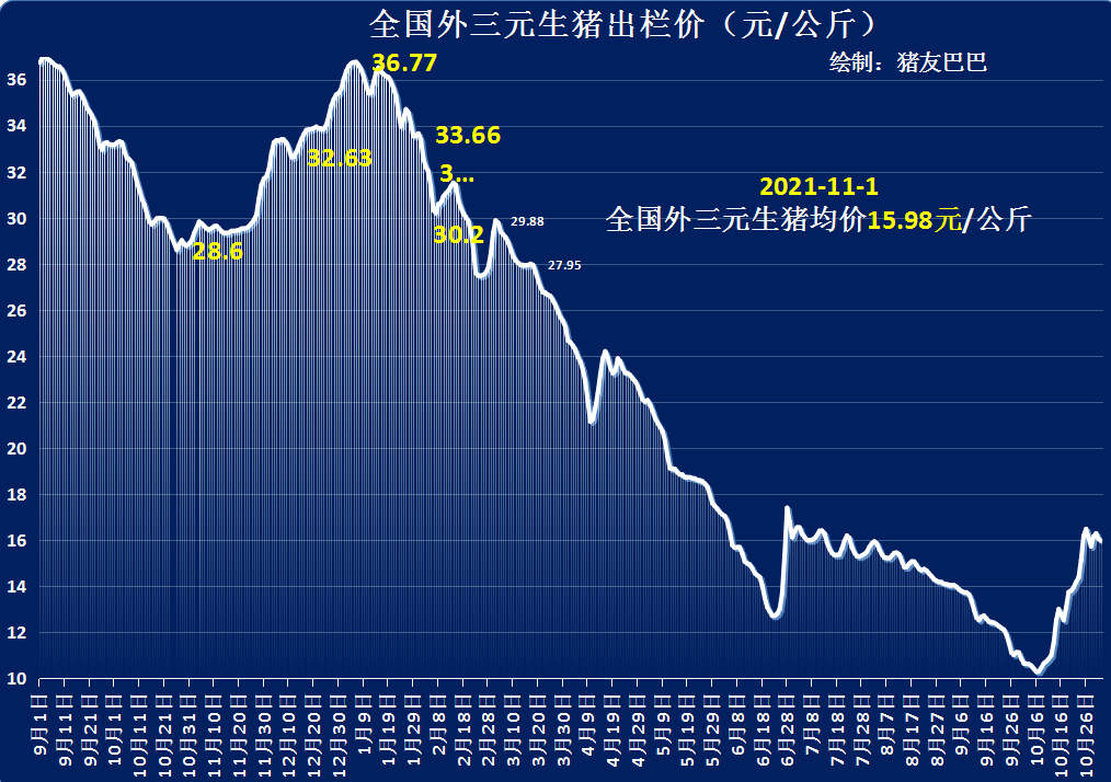 果然！猪价超跌大涨，3个坏消息来袭，11月要跌成“一地猪毛”？