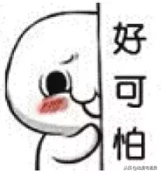 名侦探柯南:零的执行人