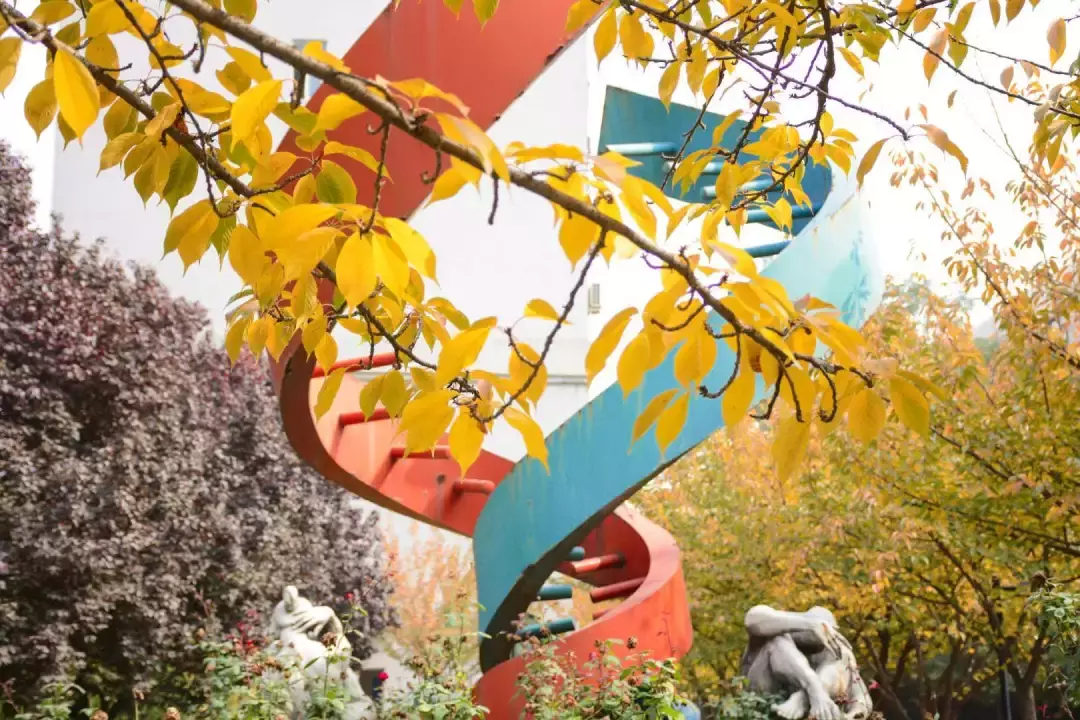 划重点！权威解读西安交大2019年本科招生计划