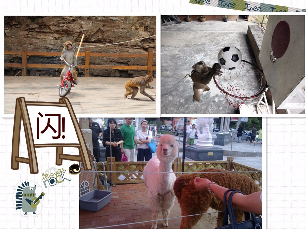 家门口小水沟摇身一变景观河！这些旅游陷阱，旅游达人都未必知道