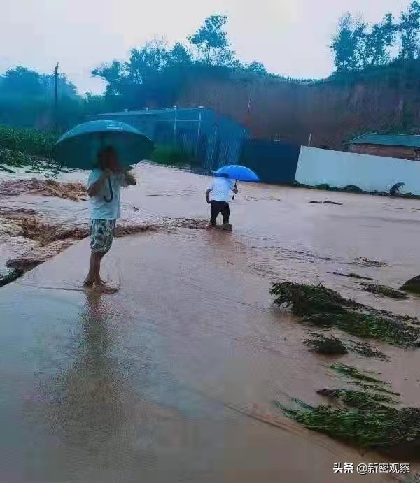 王红卫：浪尖上的逆行者