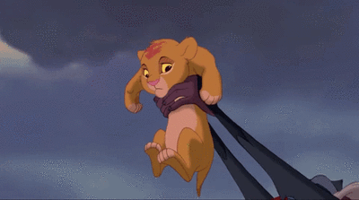 的太阳从水平线上升,万兽群集,共同庆贺国王木法沙和王后的小王子辛巴