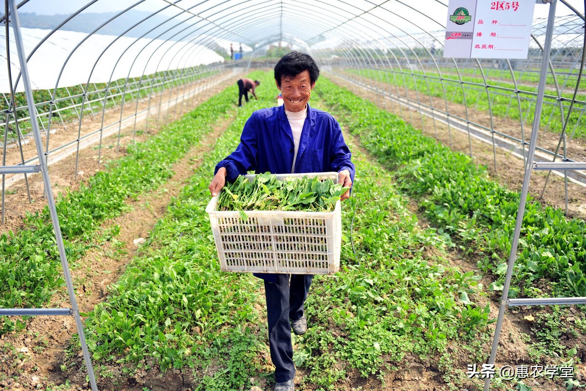承包地延期30年，确权证书还有用吗？确权证多出来的土地归谁？