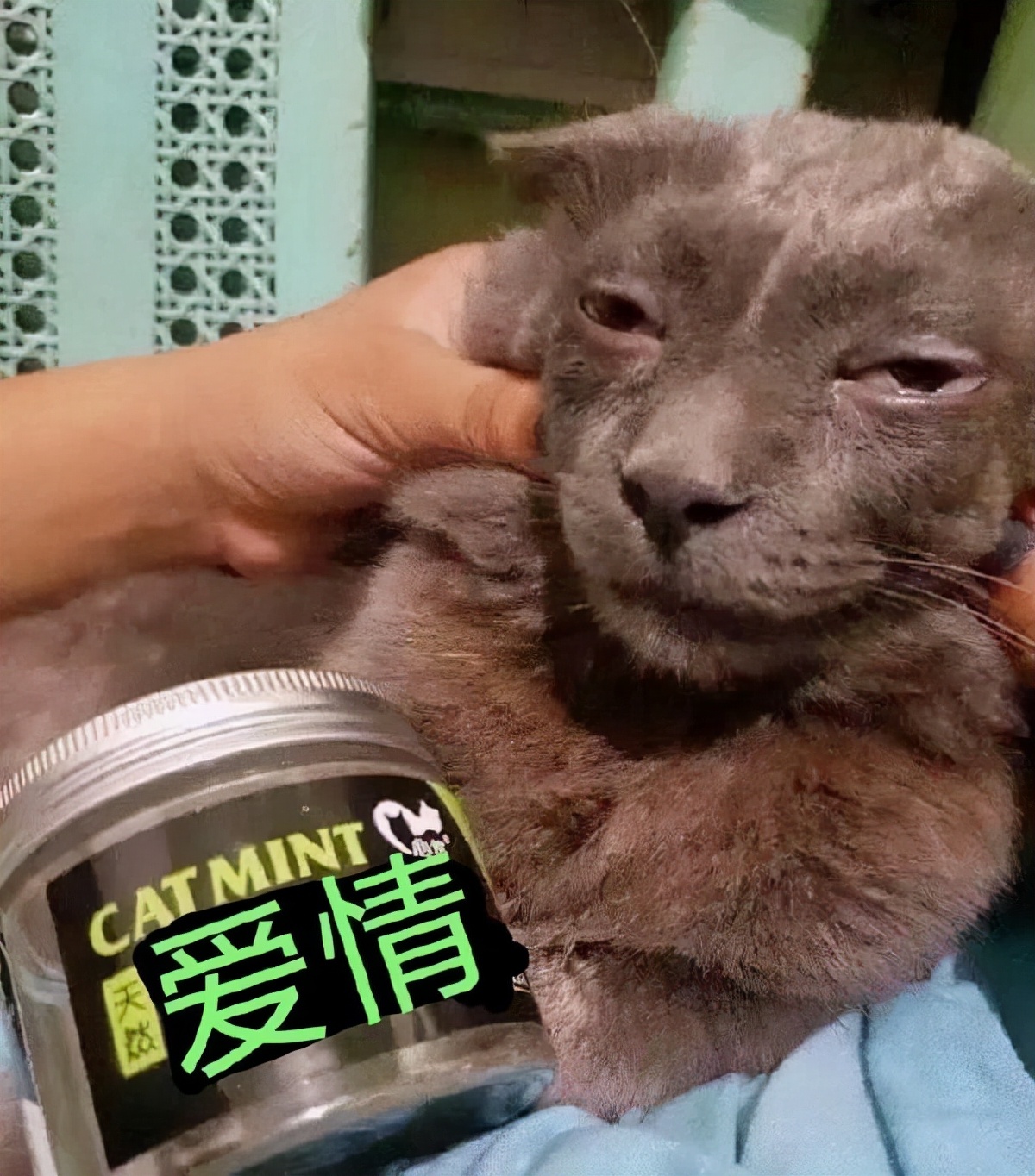 轻松一刻：关于泻火，我有话说