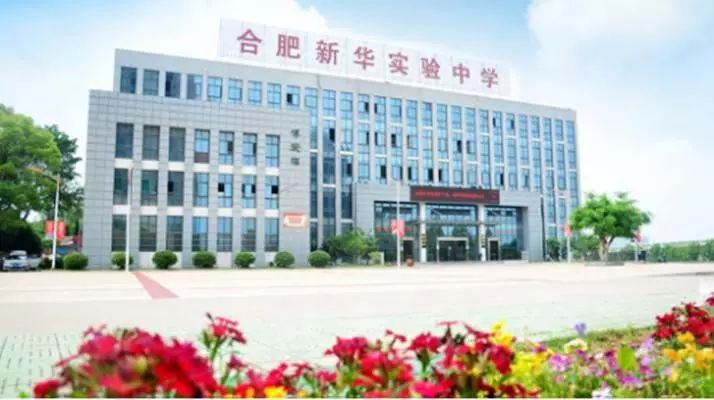 年薪20万孩子上不起学？合肥TOP10学区房or上民办究竟有多贵？