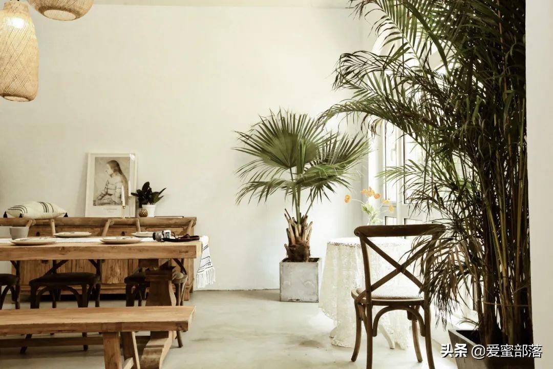 杭州摄影基地 | 插画师画室实景，出片文艺有气质