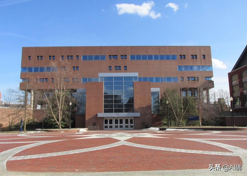 美国50所高性价比公立大学