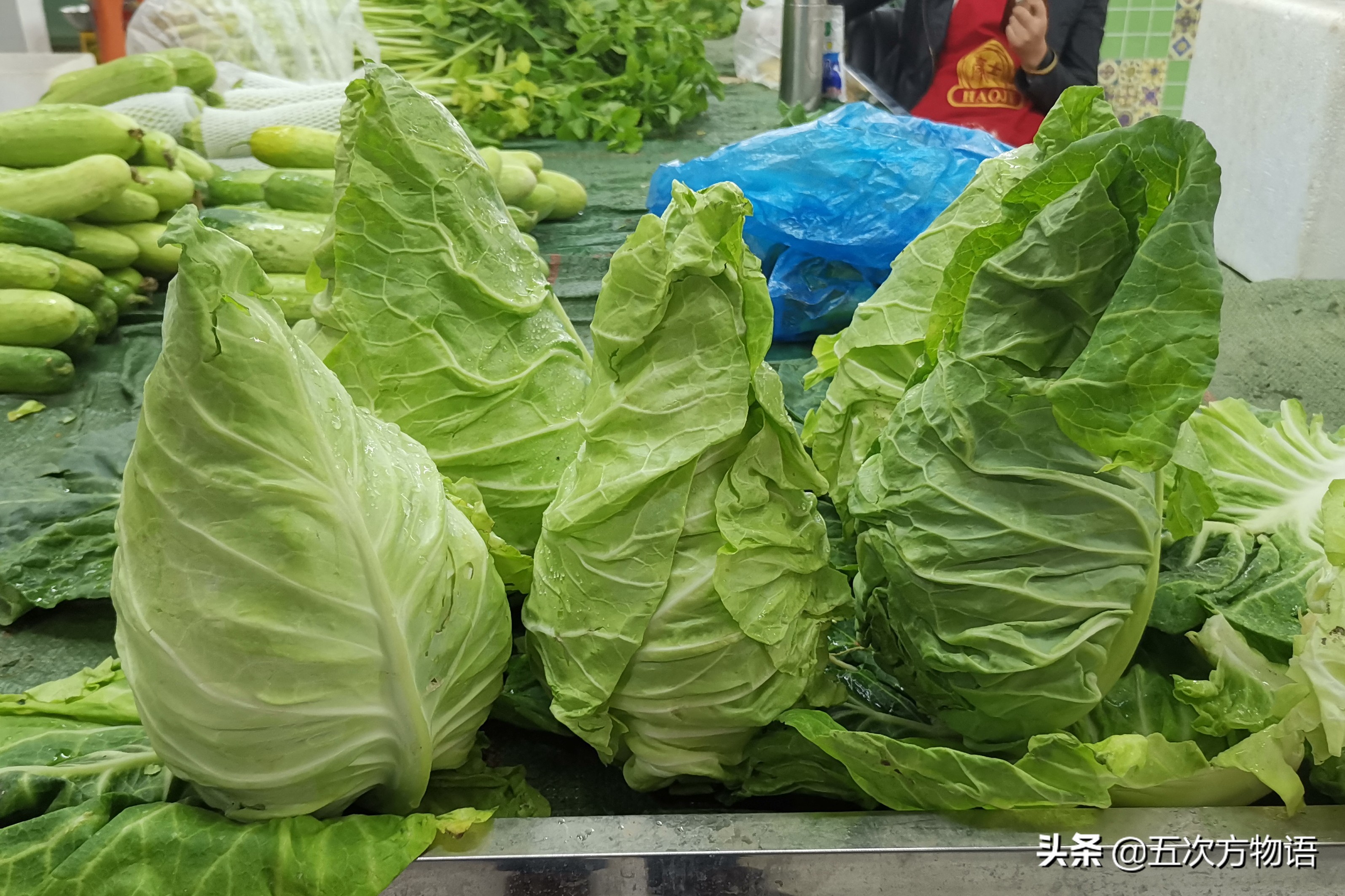 十字花科蔬菜有哪些 一篇认全十字花科蔬菜