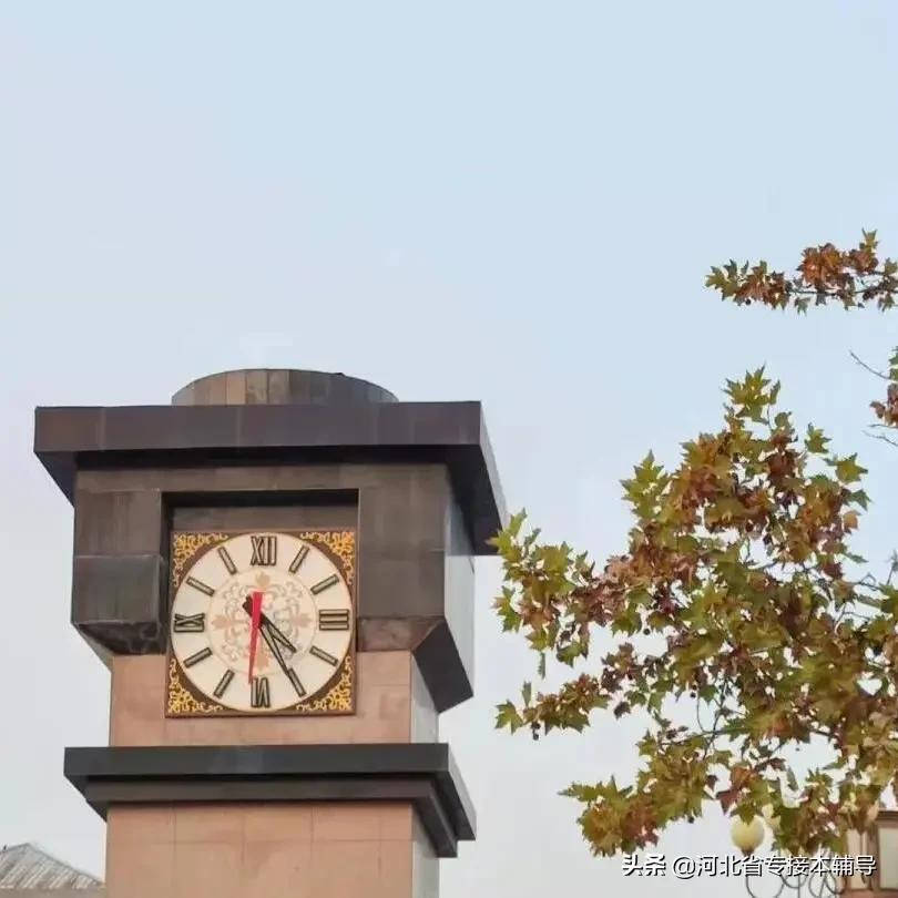 衡水学院：相比上一年招生减少1/3的名额