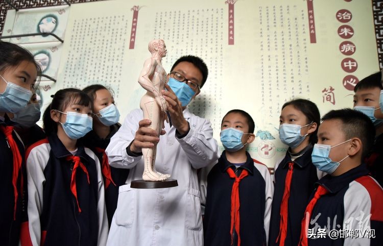 邯郸：感受传统医药文化