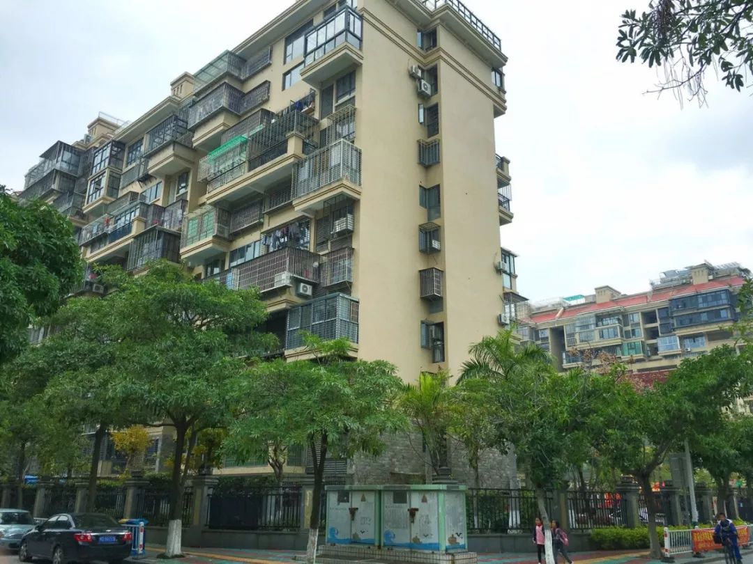 老破小一平10万+！我们走遍厦门18所名校，为你曝光最贵学区房！