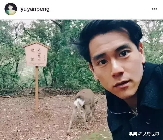 奈良小鹿一年伤了209人！8人骨折！原来鹿有这个反应是攻击的意思