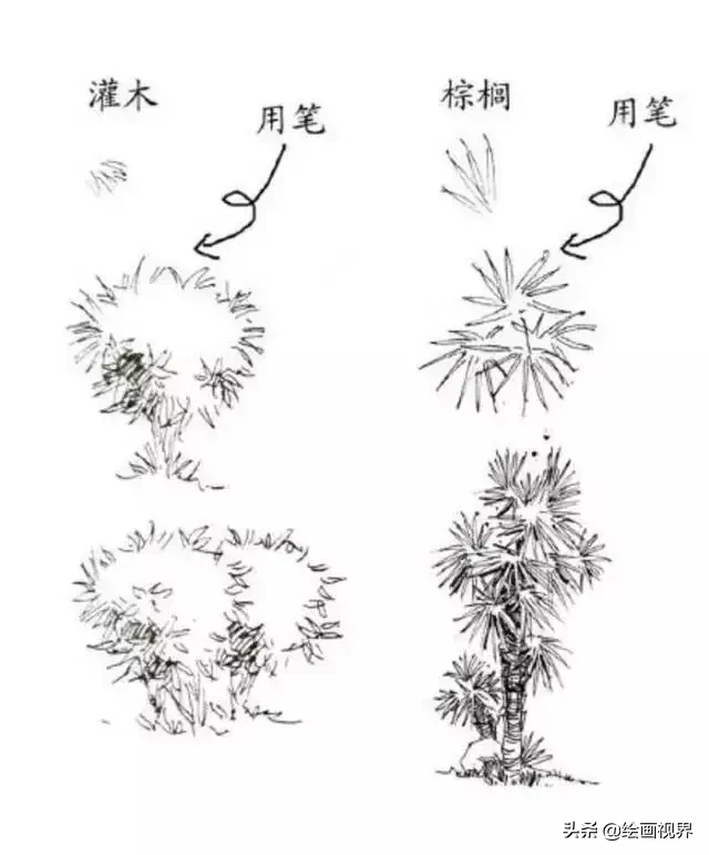 干货！教你15种速写植物配景画法，简单易学，学会画速写很简单
