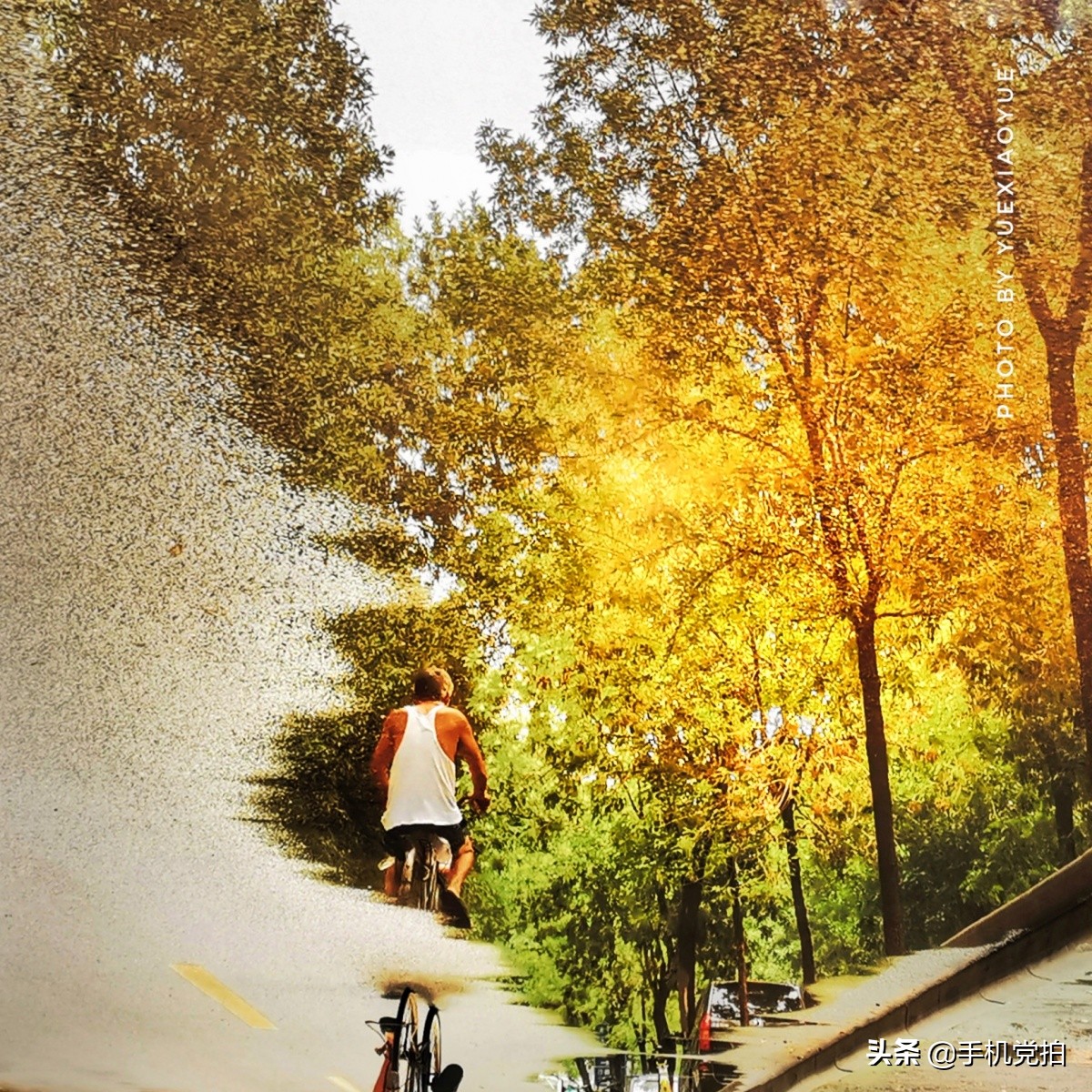 普通身边景，手机拍出新感觉｜教你5招拍好“镜像”画面