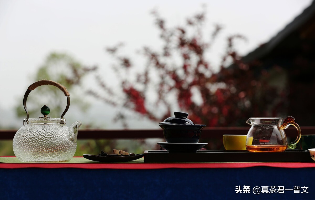 为什么很少有人喝黄茶(为什么云南人不爱喝中国十大名茶？没钱吗？不，有这样8种原因)