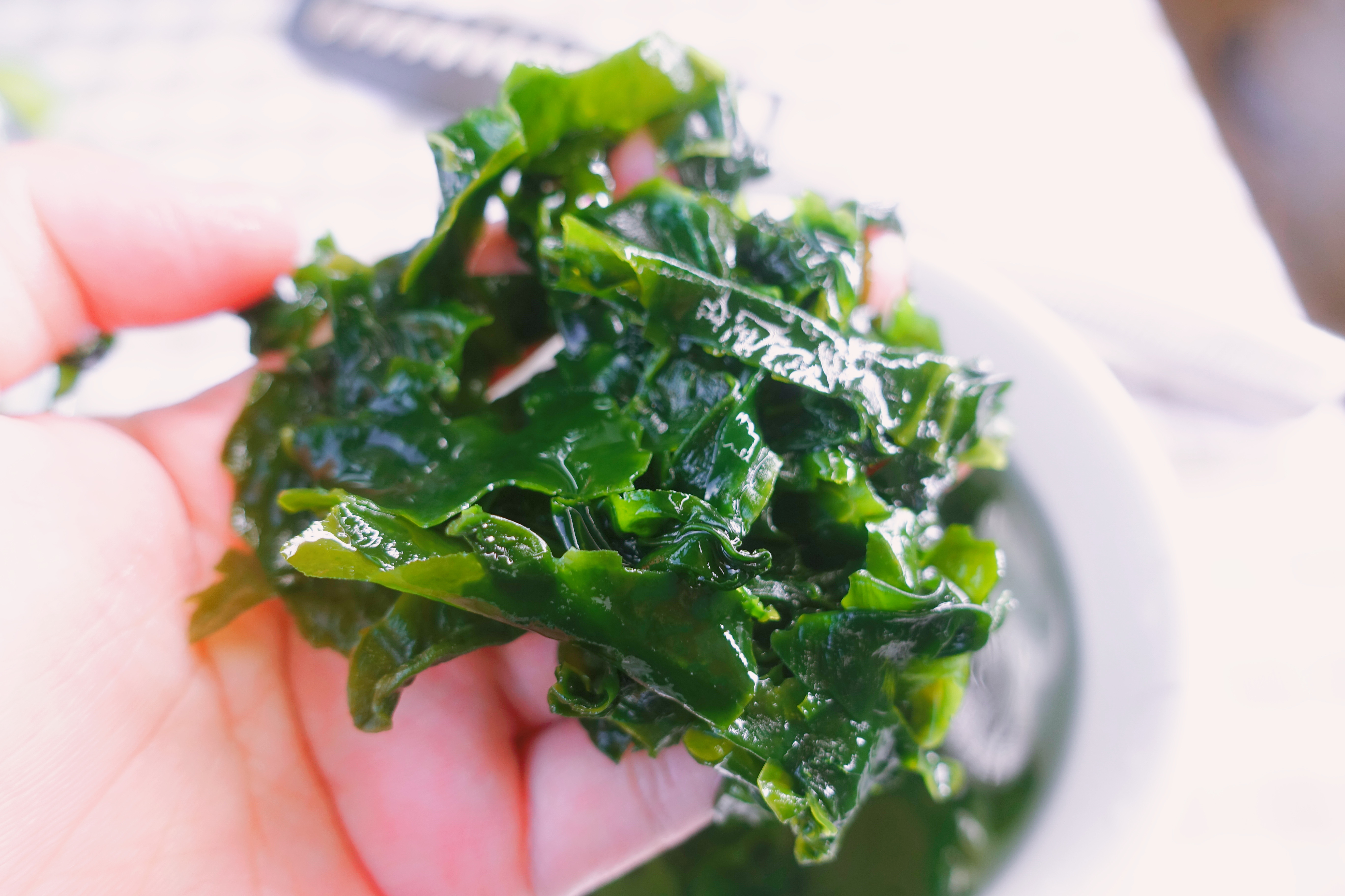 网红美食裙带菜排骨汤太好喝了,别因为是网红美食就觉得它不好