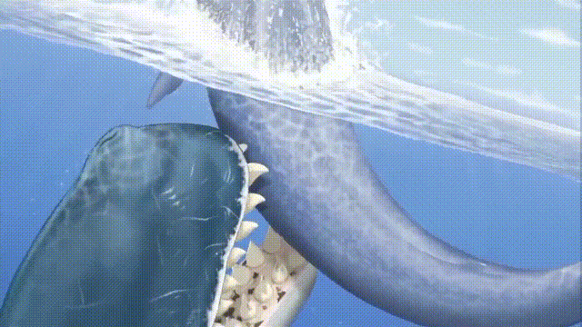 海怪怎么吃(5种比巨齿鲨还恐怖的海怪)