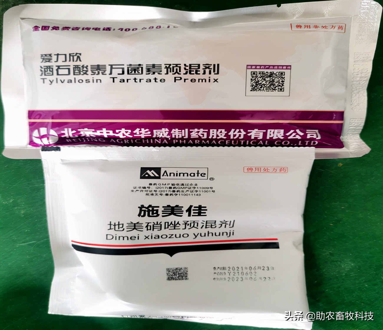 猪场10种常见疾病的症状以及用药防治方案