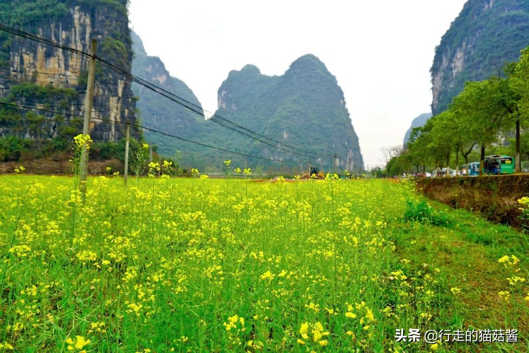 3月份的桂林是最舒服惬意的时候，三天两夜看一场山水画中景