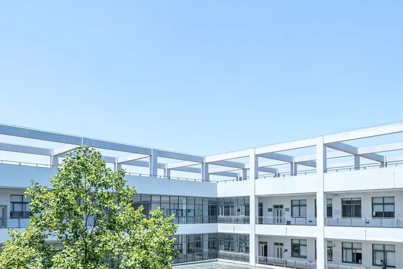 泸州一批新学校要来啦，小学、初中、高中都有！在你家附近吗？