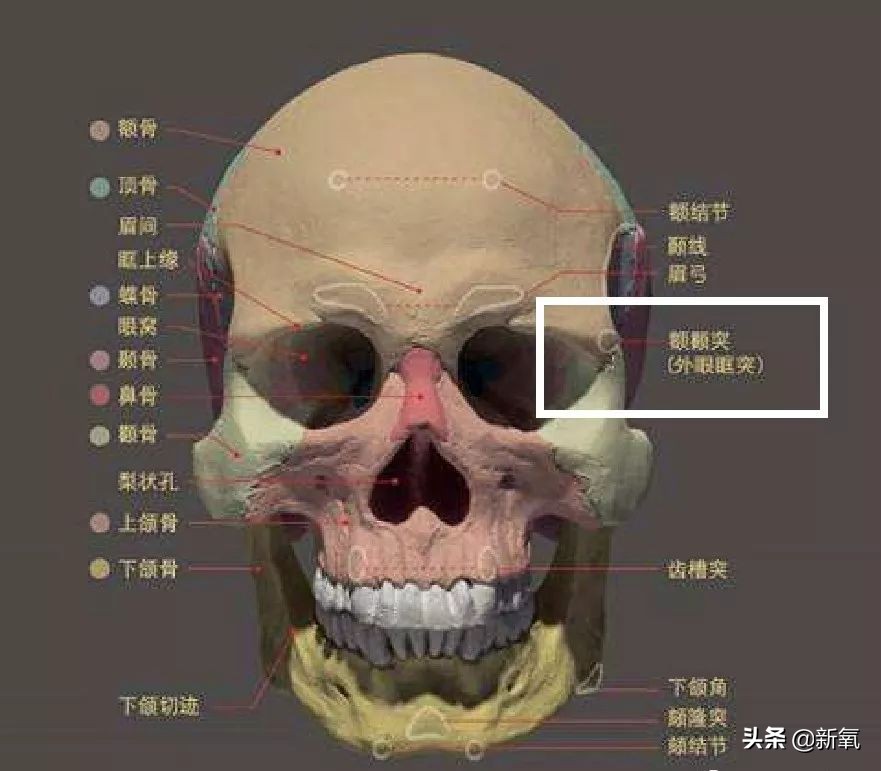 怎样成为眉目传情的“天然撩”美人？先解决眉毛的漂浮感！