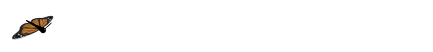 今后练字注意这4个方面，写一手好字就不难了
