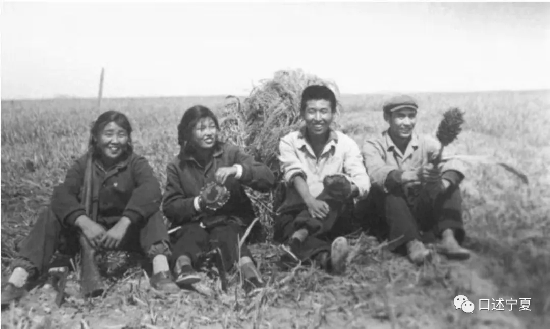 宁夏农垦创业时期的大中专学生 (上)