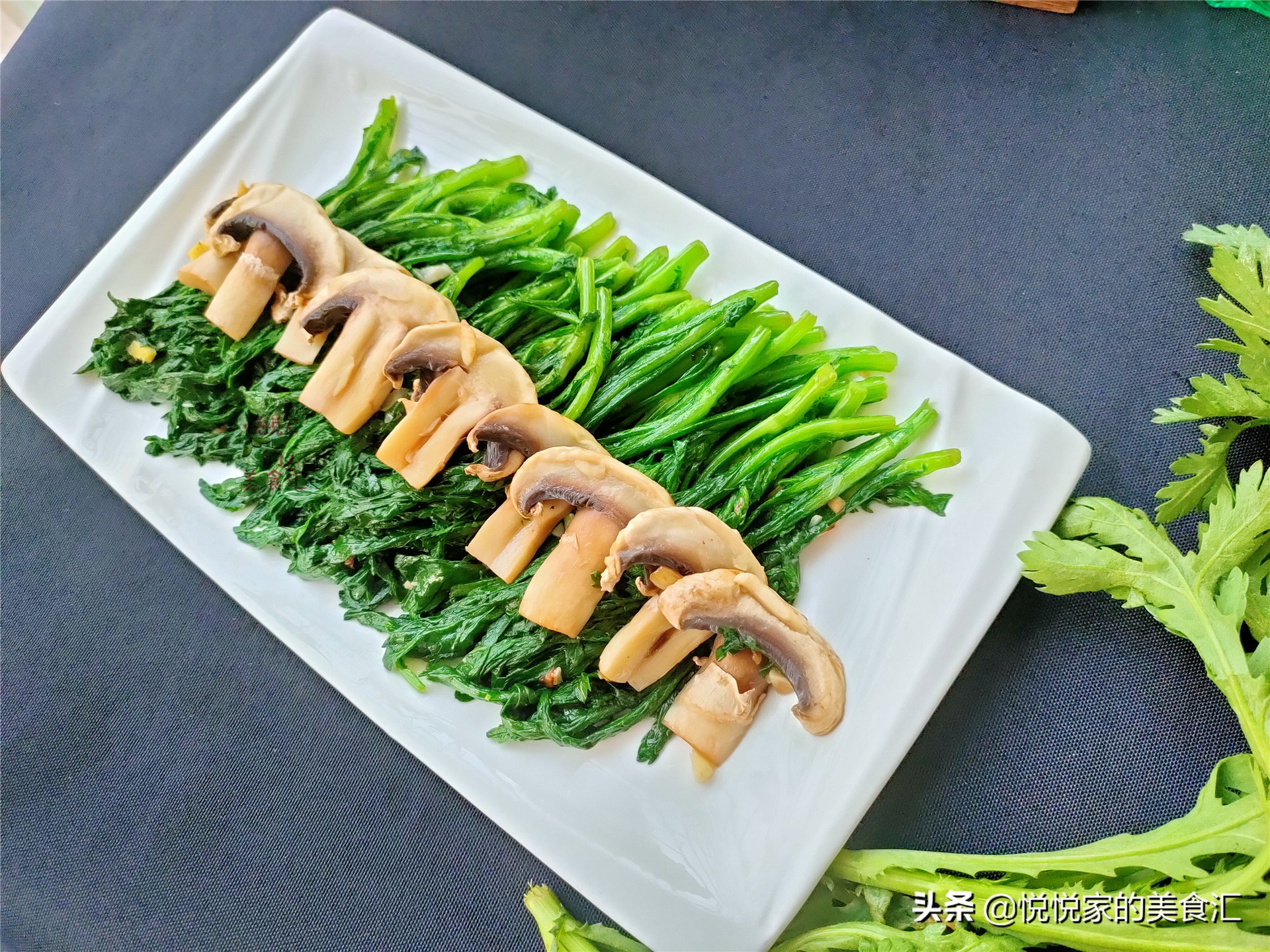 桐花菜怎么做好吃(宁不吃肉也要给孩子吃这菜)