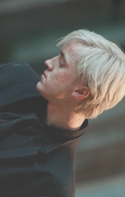 阿斯托利亚·格林格拉斯(《哈利波特》人物篇:德拉科 马尔福的灵魂