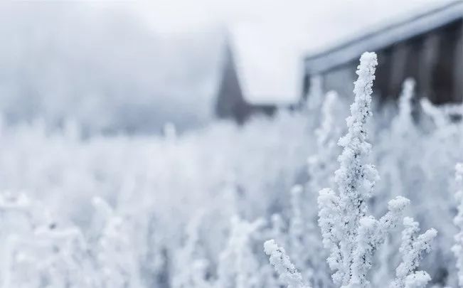 大雪诗词 | 带你走进唐诗宋词里的最美雪景！