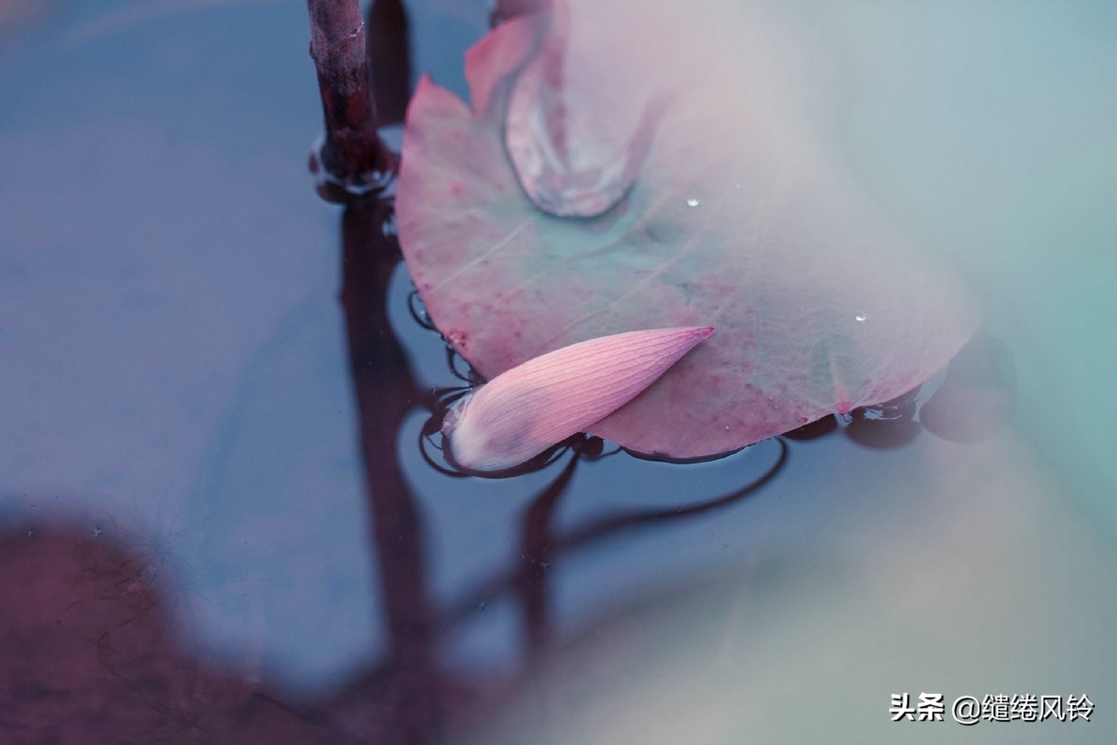 剑未佩妥，出门已是江湖——50句古风文艺诗句，美到窒息