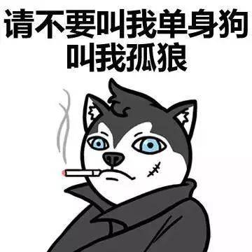 嘲讽单身狗的图片图片