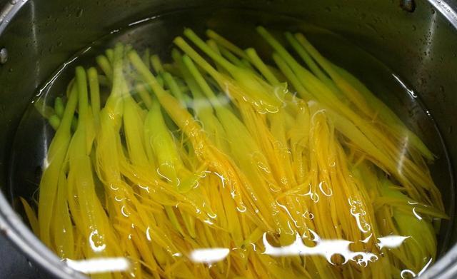 忘憂草就是黃花菜,忘憂草就是黃花菜?