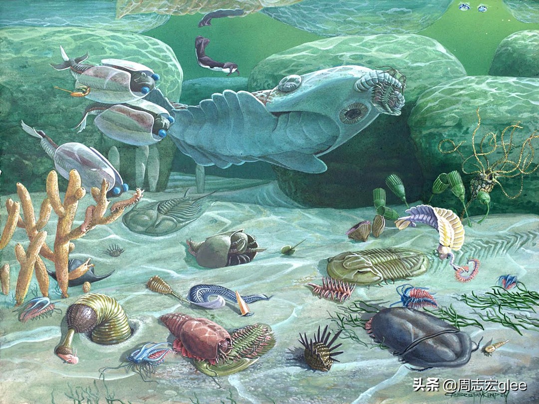 地球的空气从哪里来？聊聊你不知道的空气史