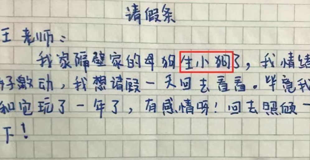 小学生的请假条，把老师气得哭笑不得，网友觉得这也太有才了