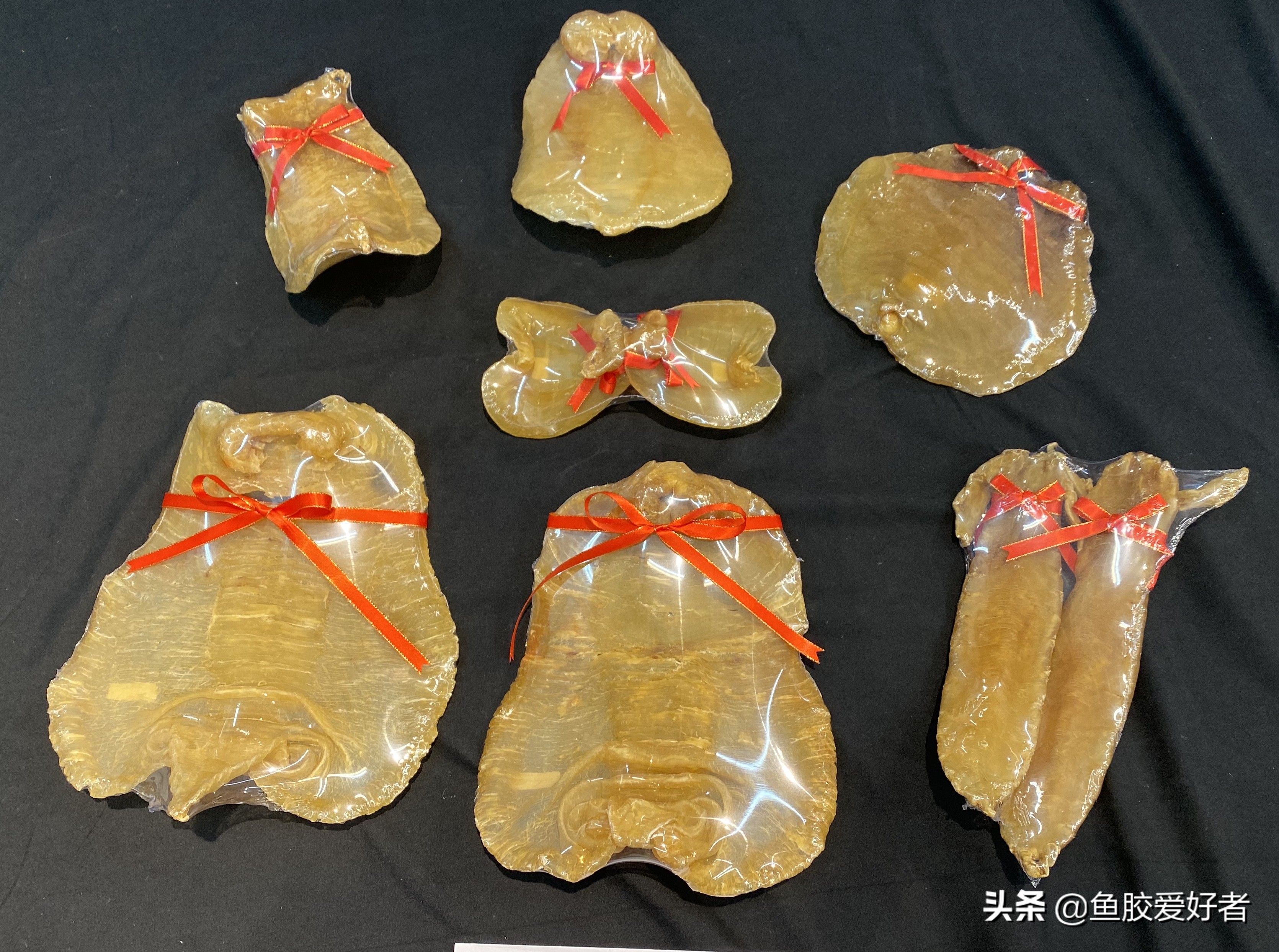 一千的鱼胶被当五千卖，新手买鱼胶要如何躲开这些坑？涨知识了